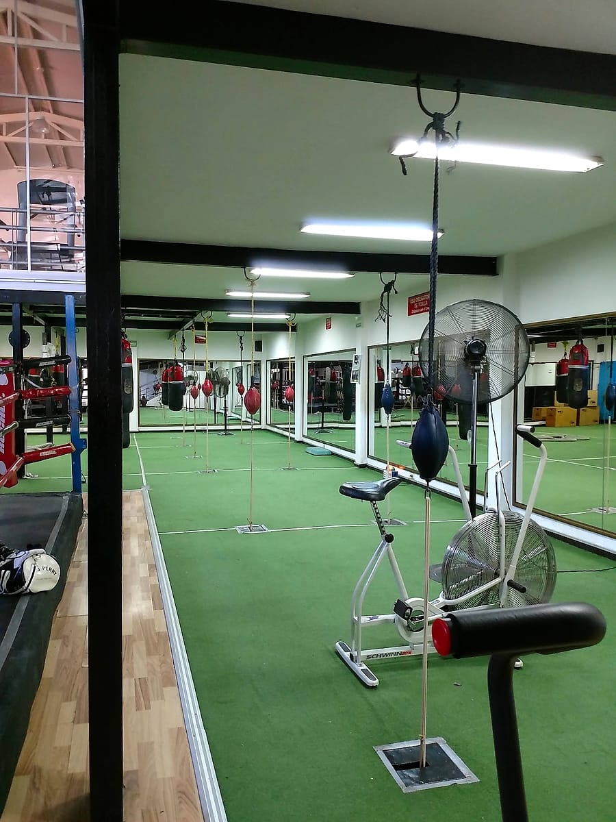 Zona de box con pasto sintético y espejos